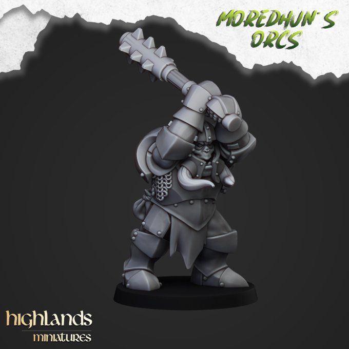 Armoured orcs