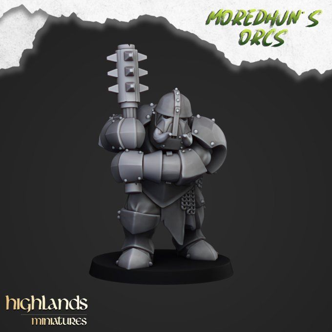 Armoured orcs