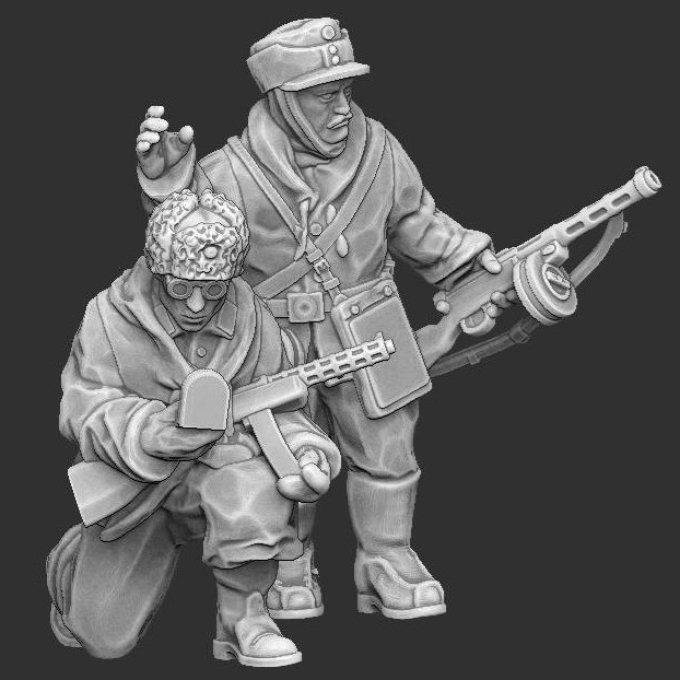 Officiers finlandais Tenue Hiver