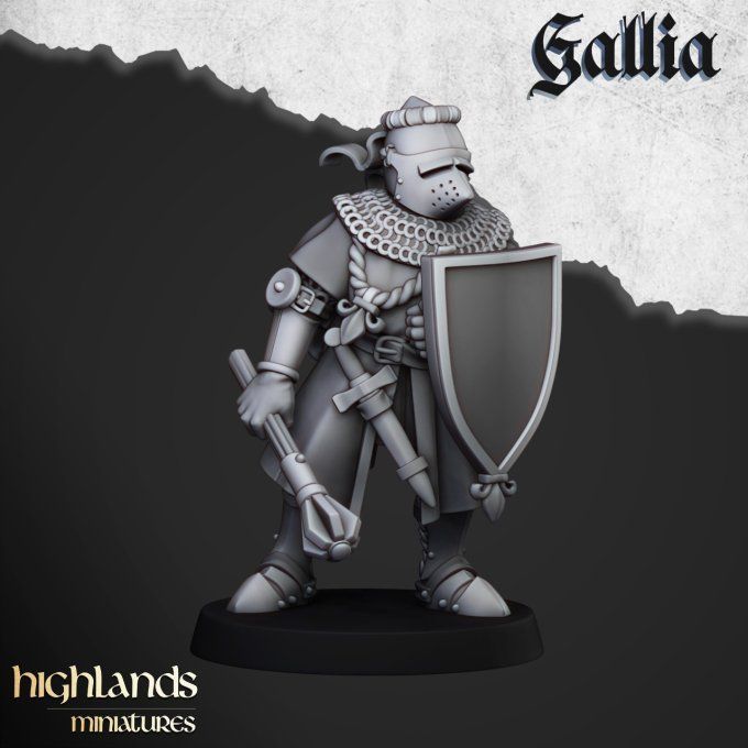 Knights of Gallia on Foot