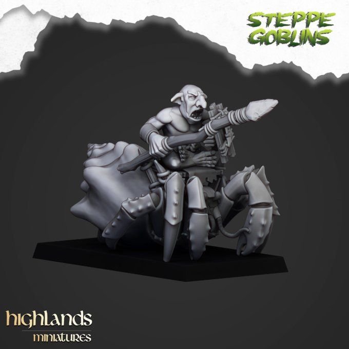Mounted coast Goblins with Spears