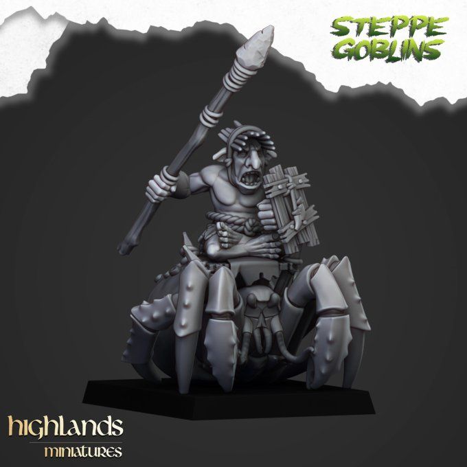 Mounted coast Goblins with Spears