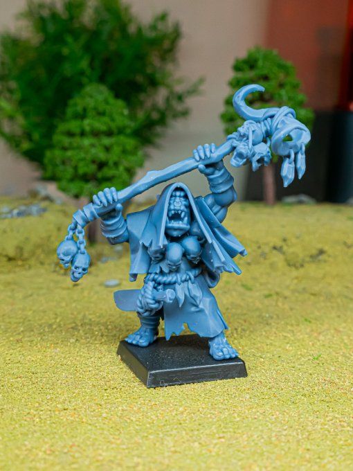 Orc Shaman