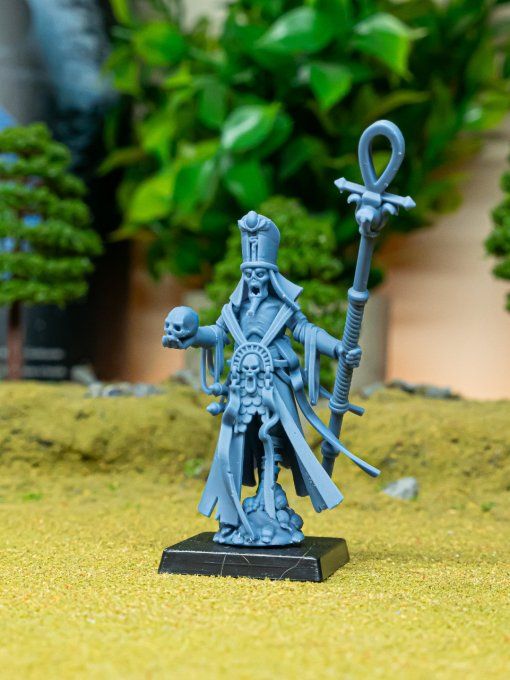 Eternal Priest